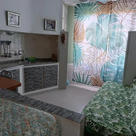 Apartman La Pineda *
